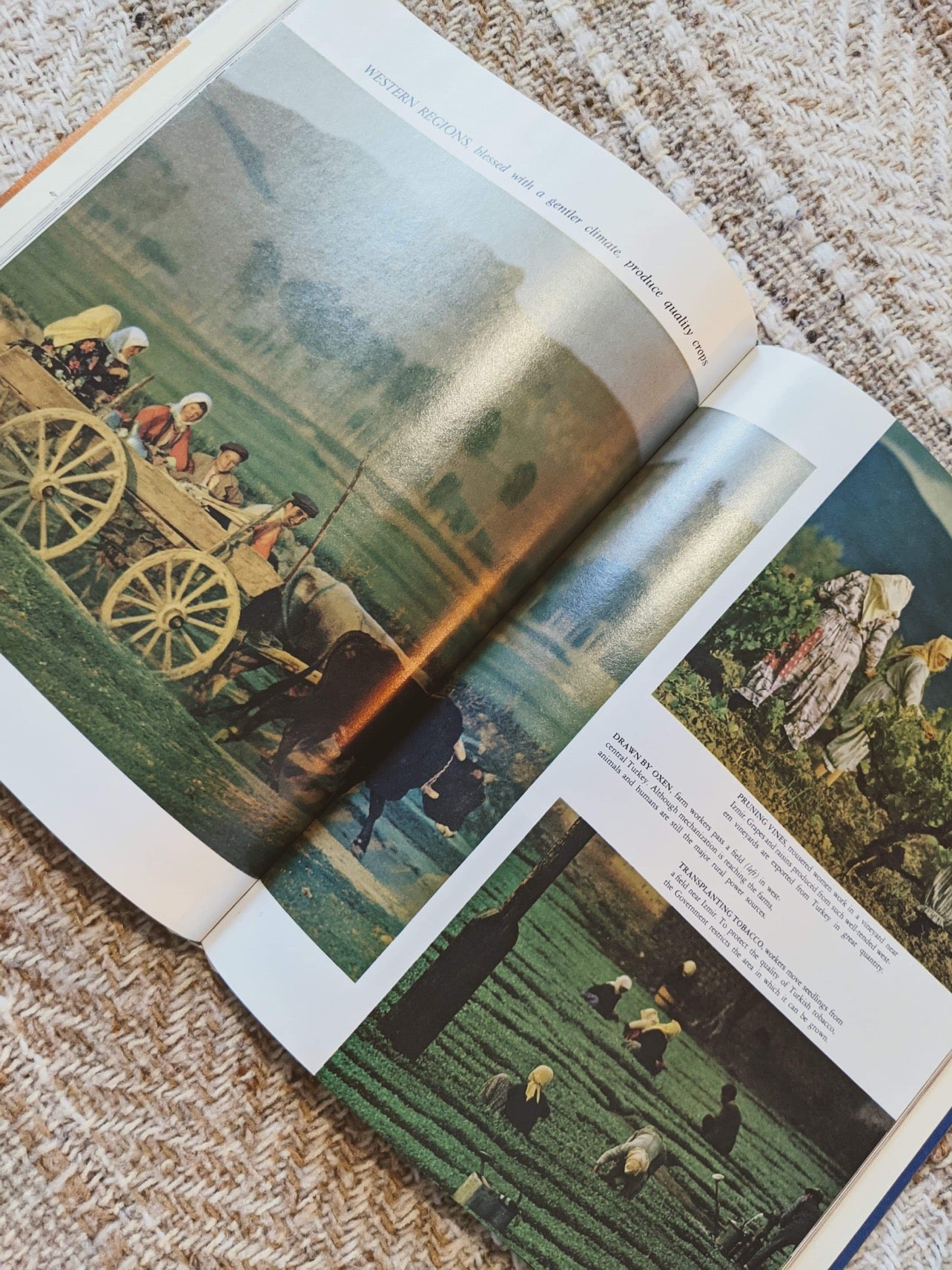 LIFE World Library Coffee Table Books