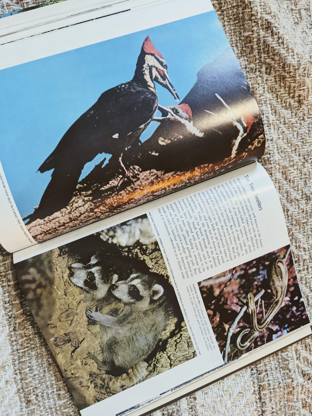 LIFE World Library Coffee Table Books