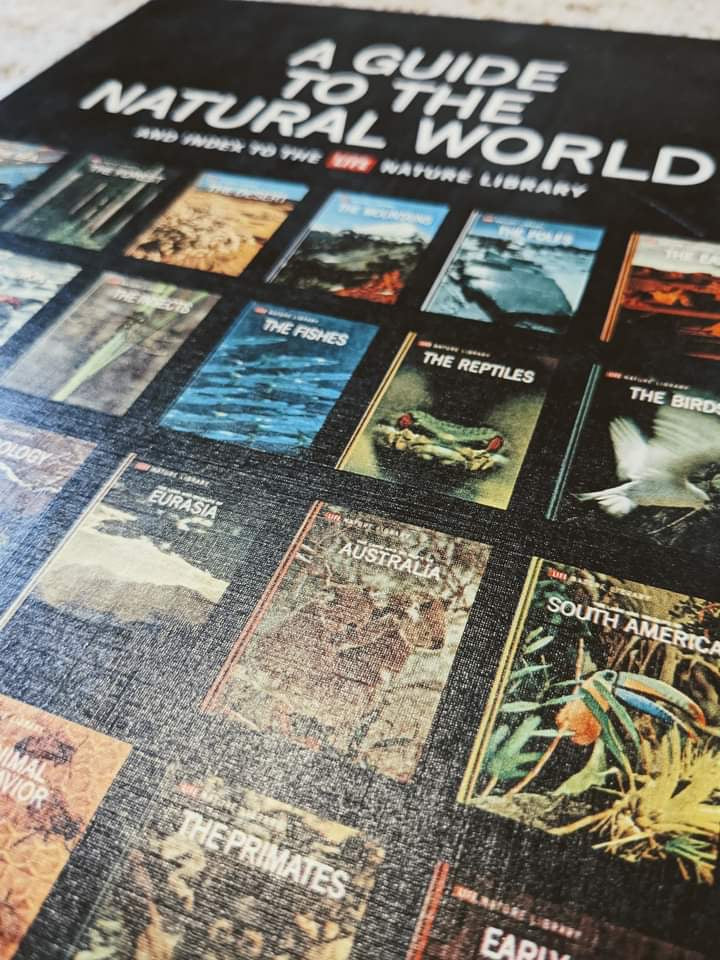 LIFE World Library Coffee Table Books