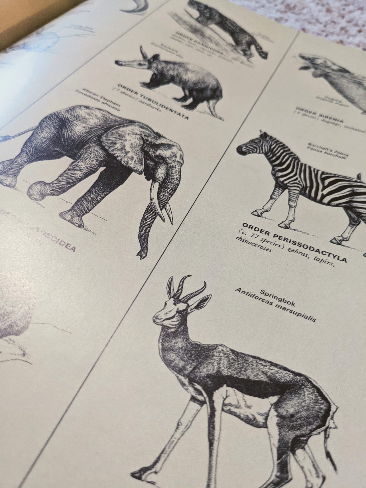 LIFE World Library Coffee Table Books