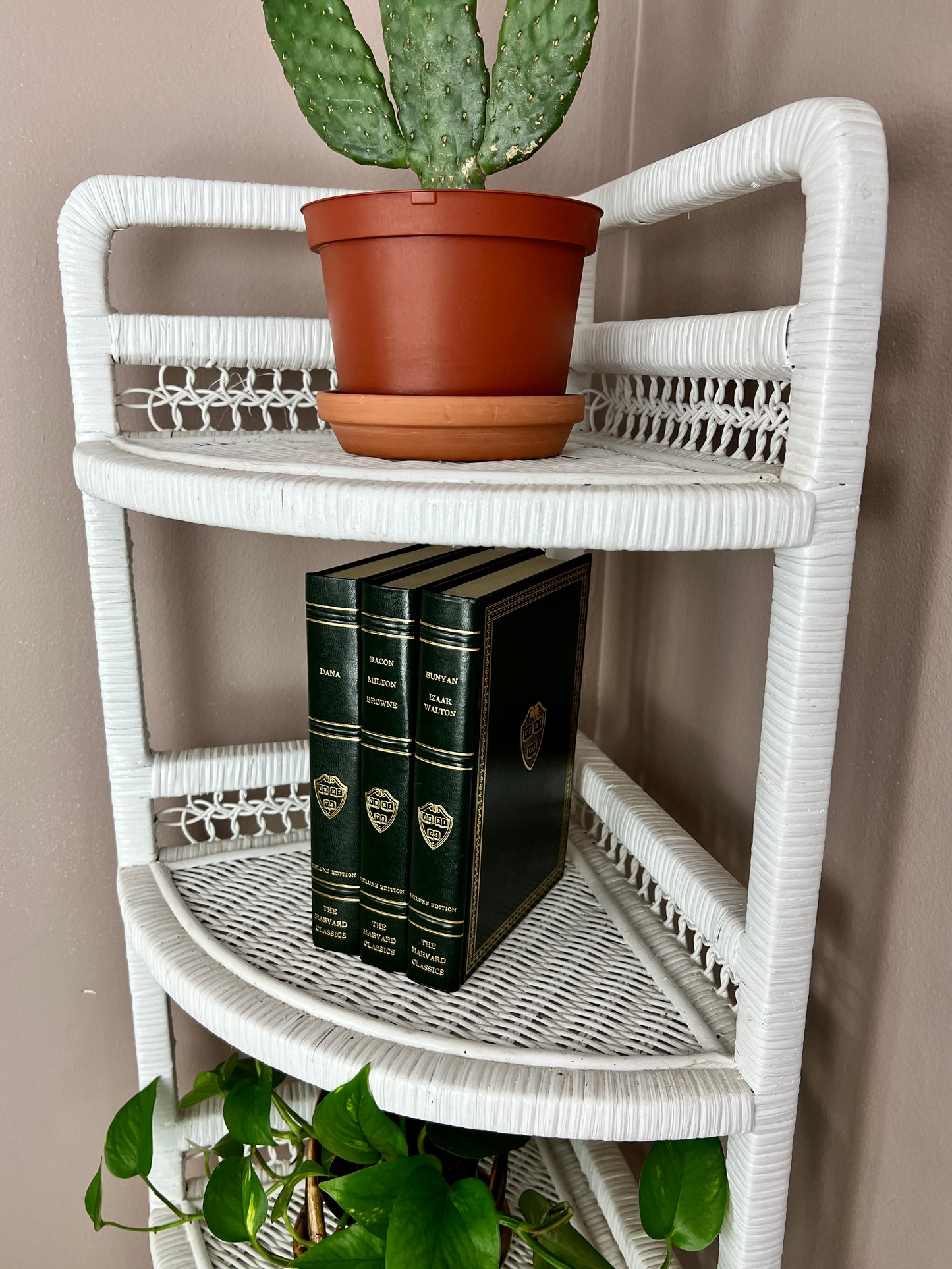 The White Wicker Corner Shelf