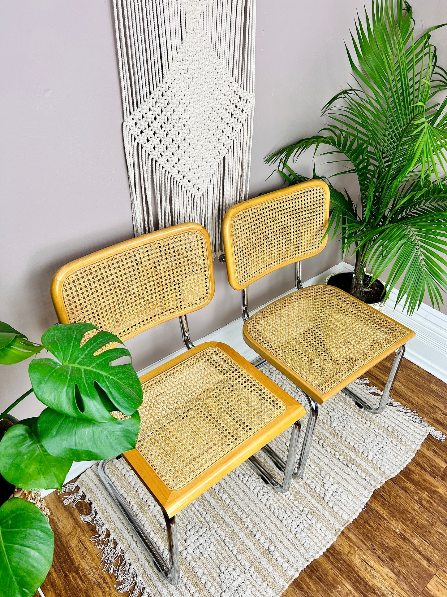 The Cesca Chairs (only 1 left)