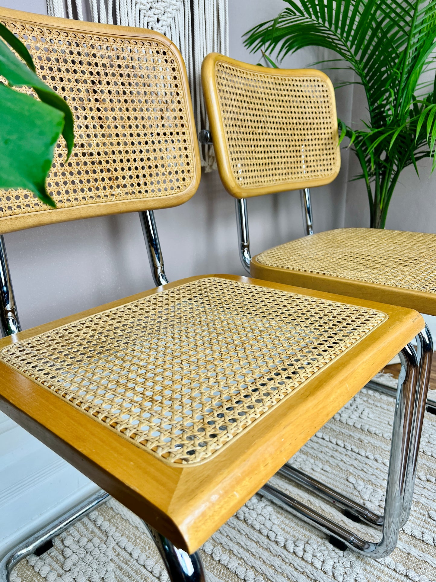 The Cesca Chairs (only 1 left)