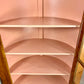 The Pink Clamshell Corner Cabinet