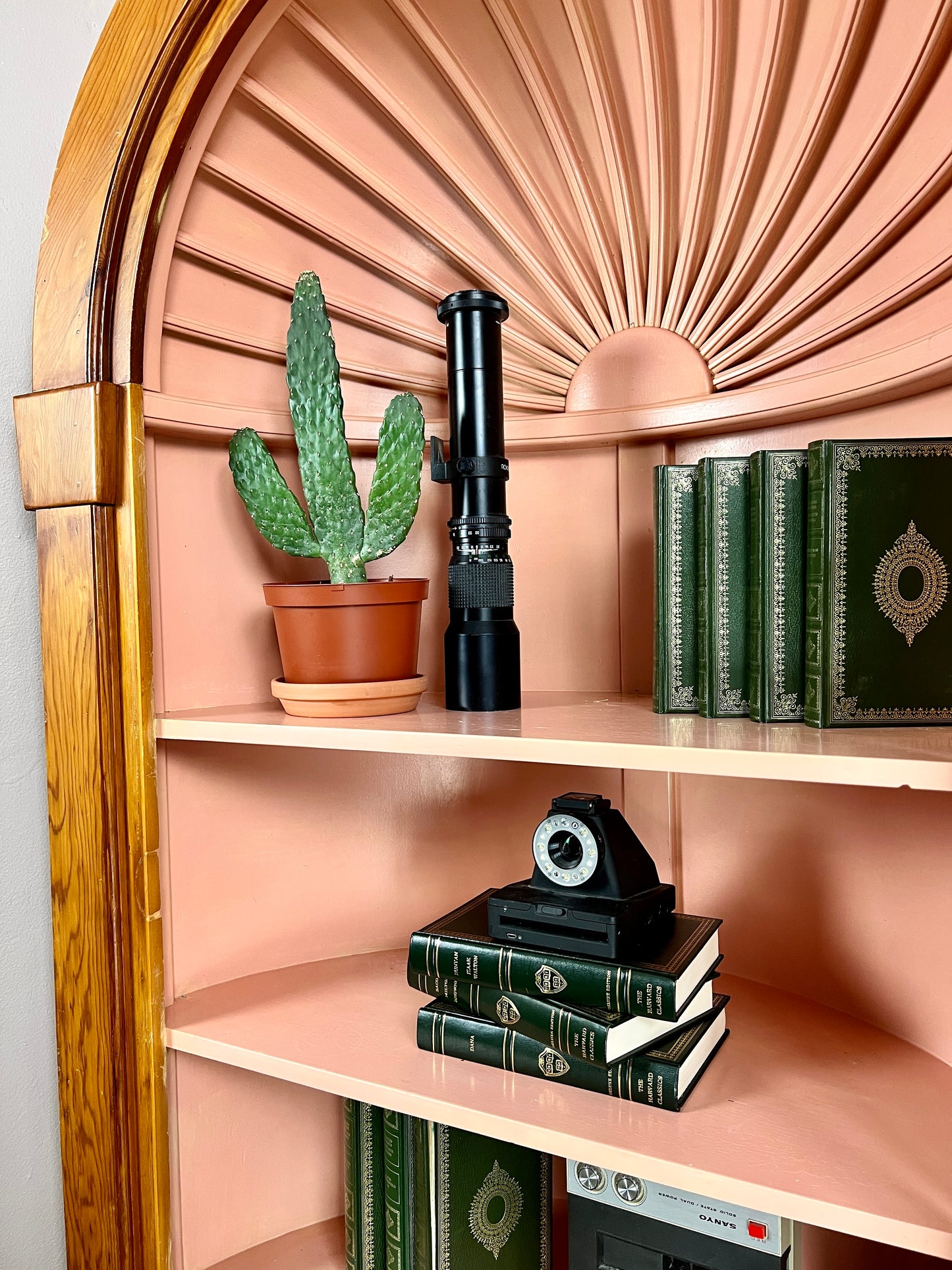 The Pink Clamshell Corner Cabinet