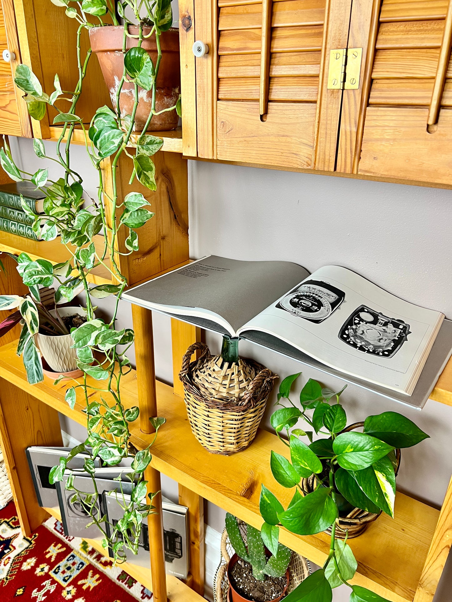 The Harvest Pine Shelf