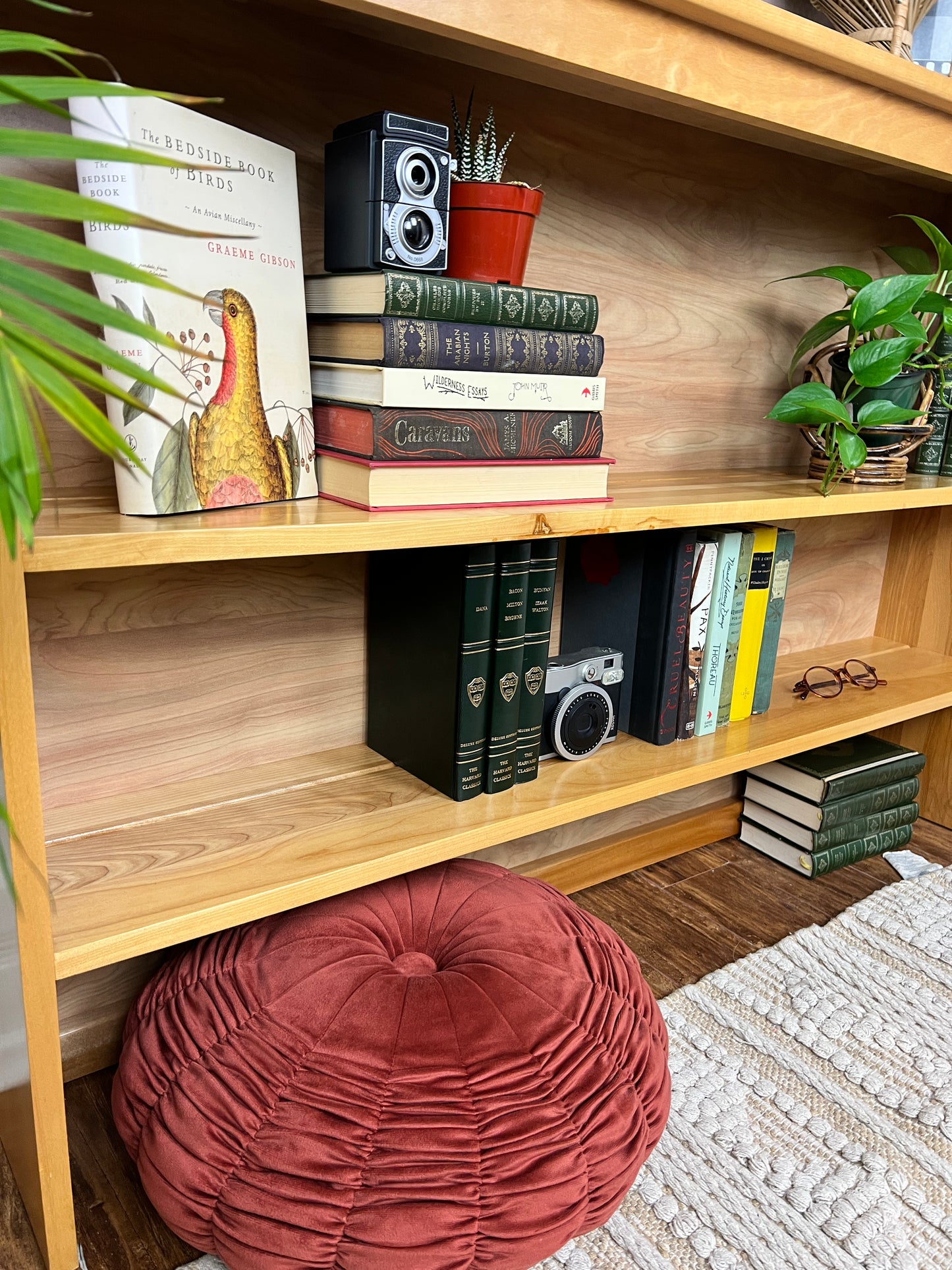 The Cassidy Maple Shelf