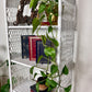 The Milka Wicker Shelf