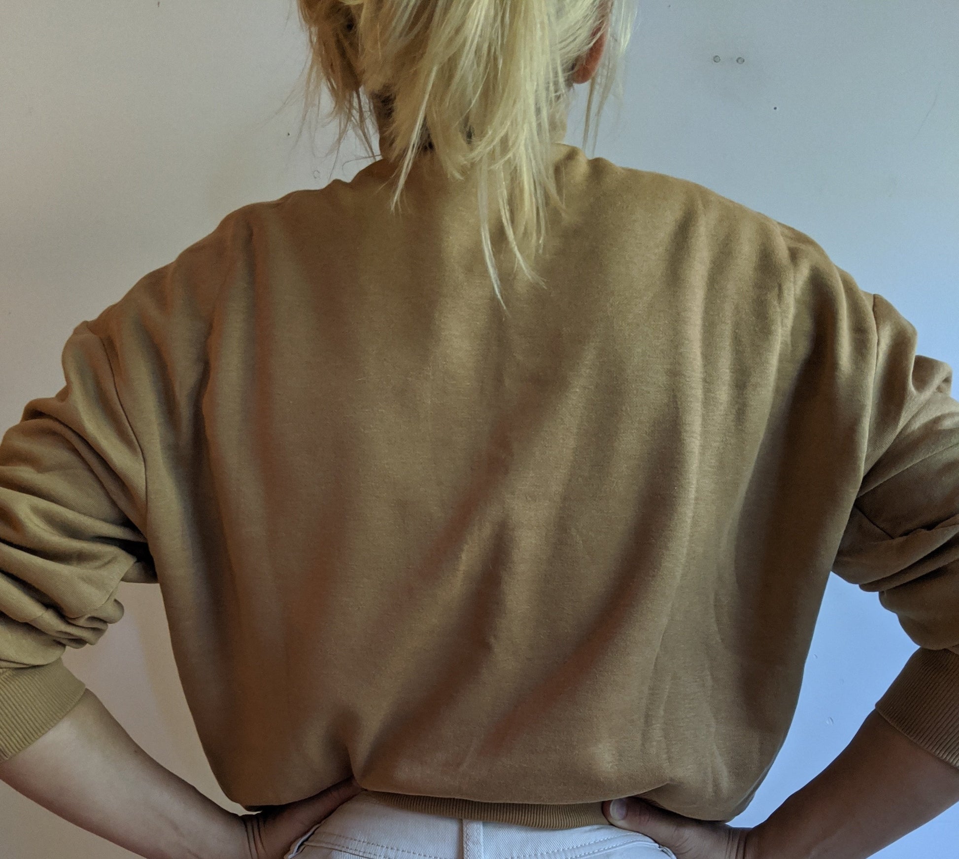 Mock Neck Graphic Crew Retro Brown Alpine