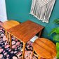 Terry & His Two Teak Buddies