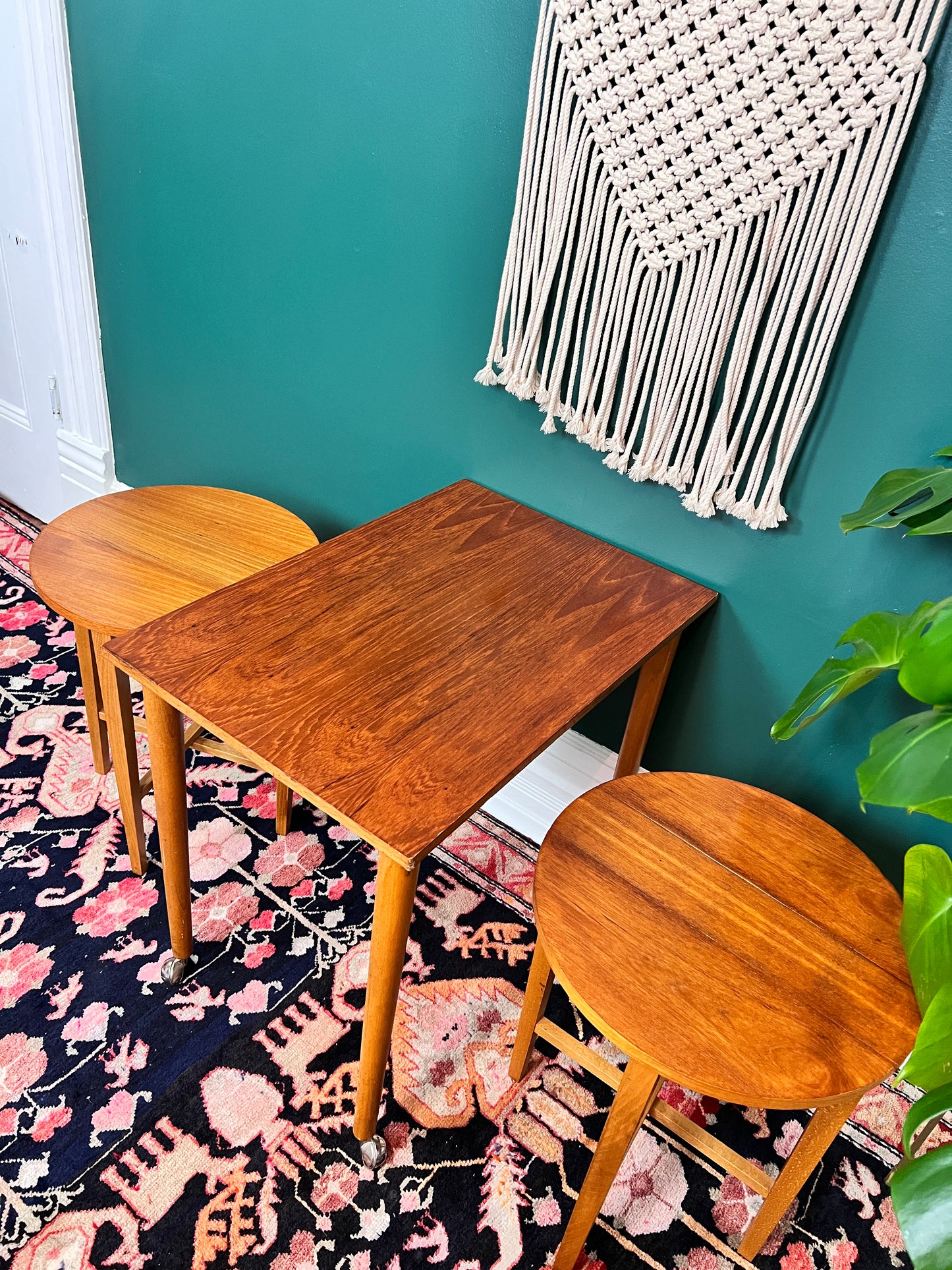 Terry & His Two Teak Buddies