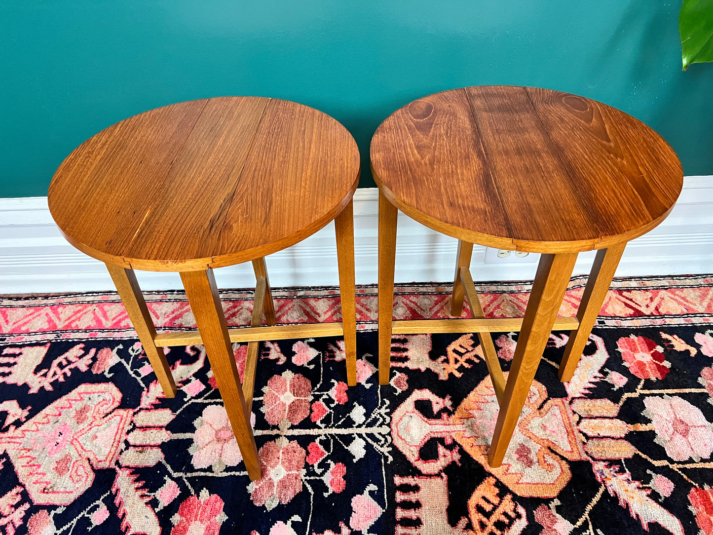 Terry & His Two Teak Buddies
