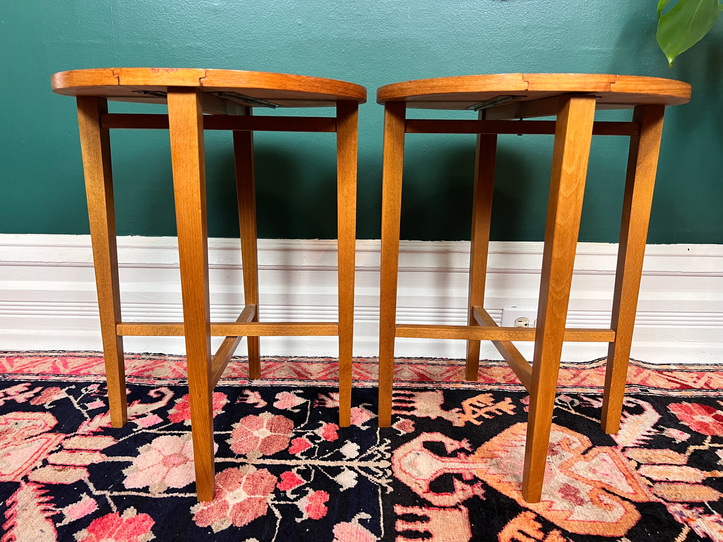 Terry & His Two Teak Buddies