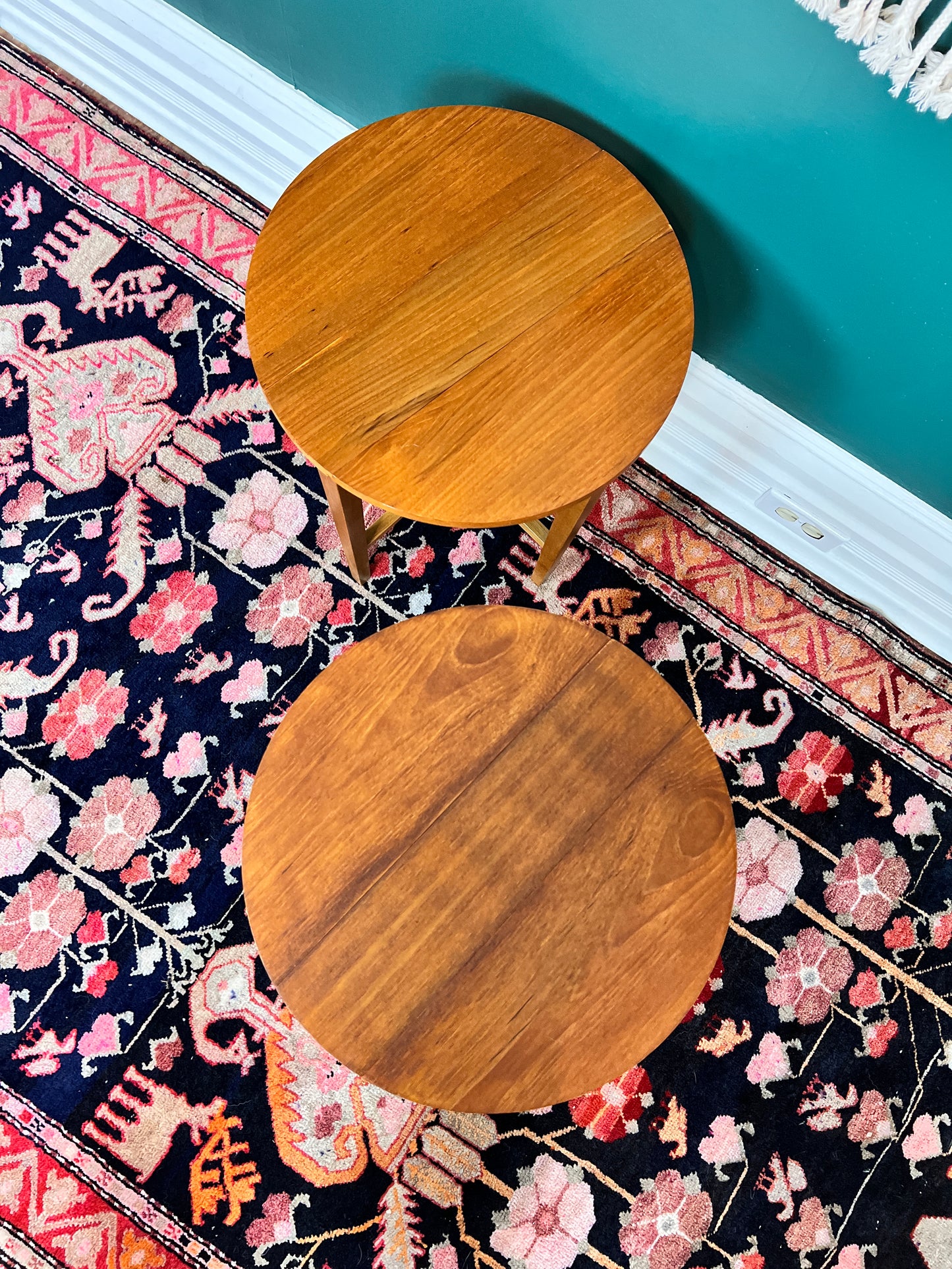 Terry & His Two Teak Buddies