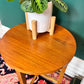 Terry & His Two Teak Buddies