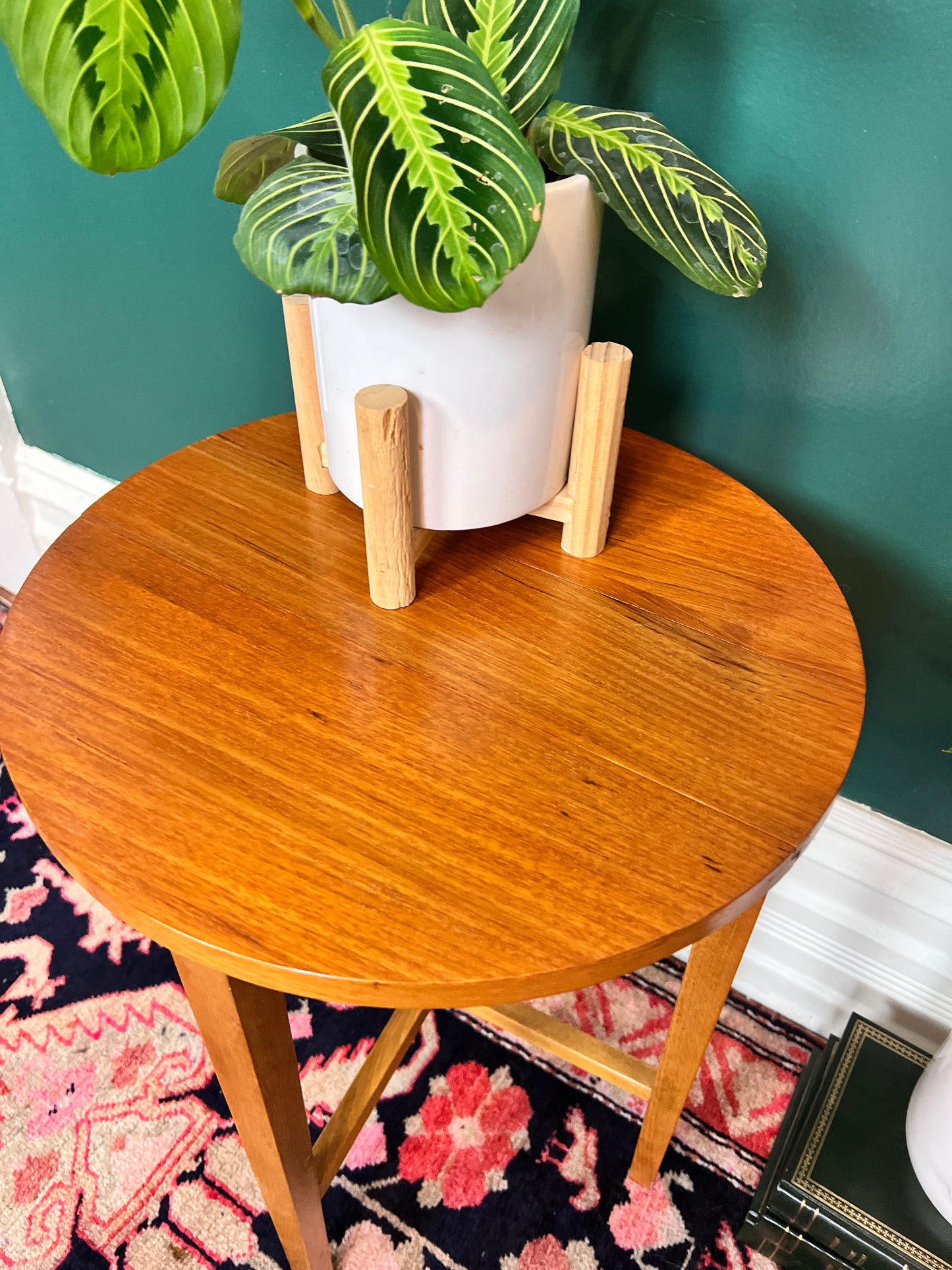 Terry & His Two Teak Buddies