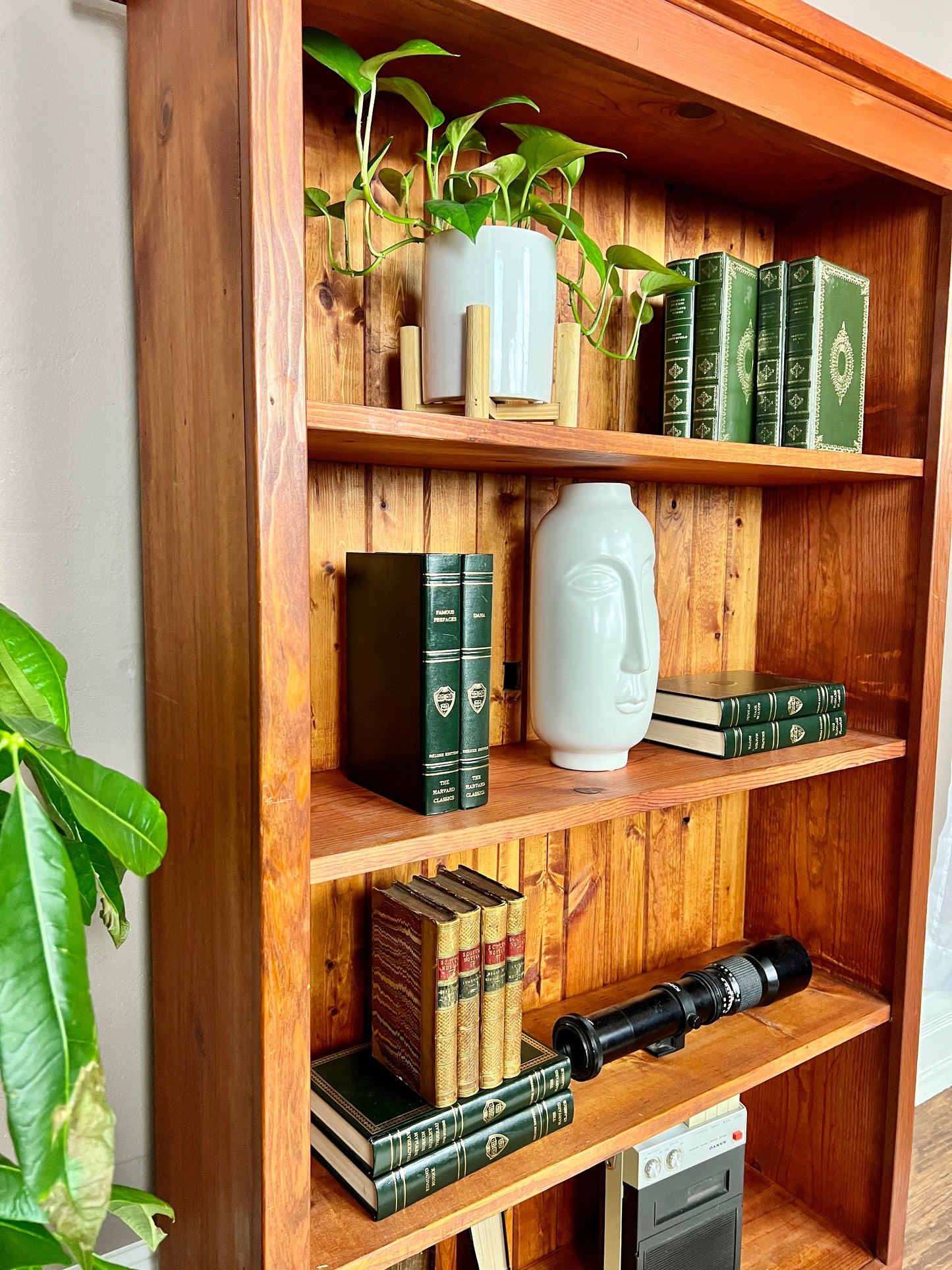 The Tangerine Shelf