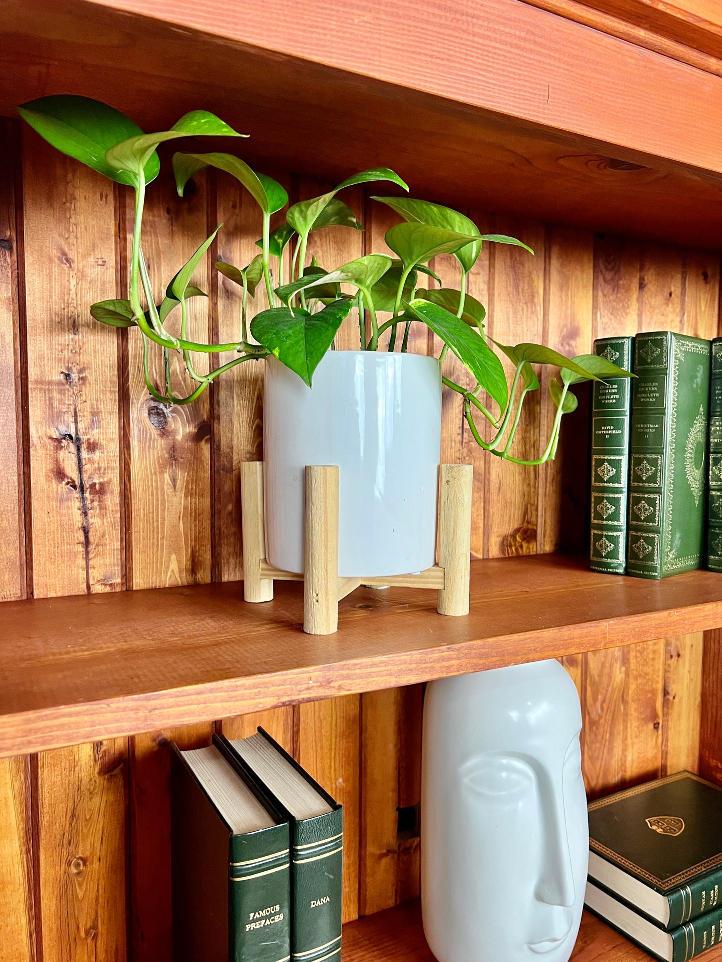 The Tangerine Shelf