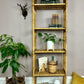 The Silvia Wicker Shelf