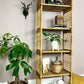 The Silvia Wicker Shelf