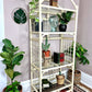 The Ramona Rattan Shelf