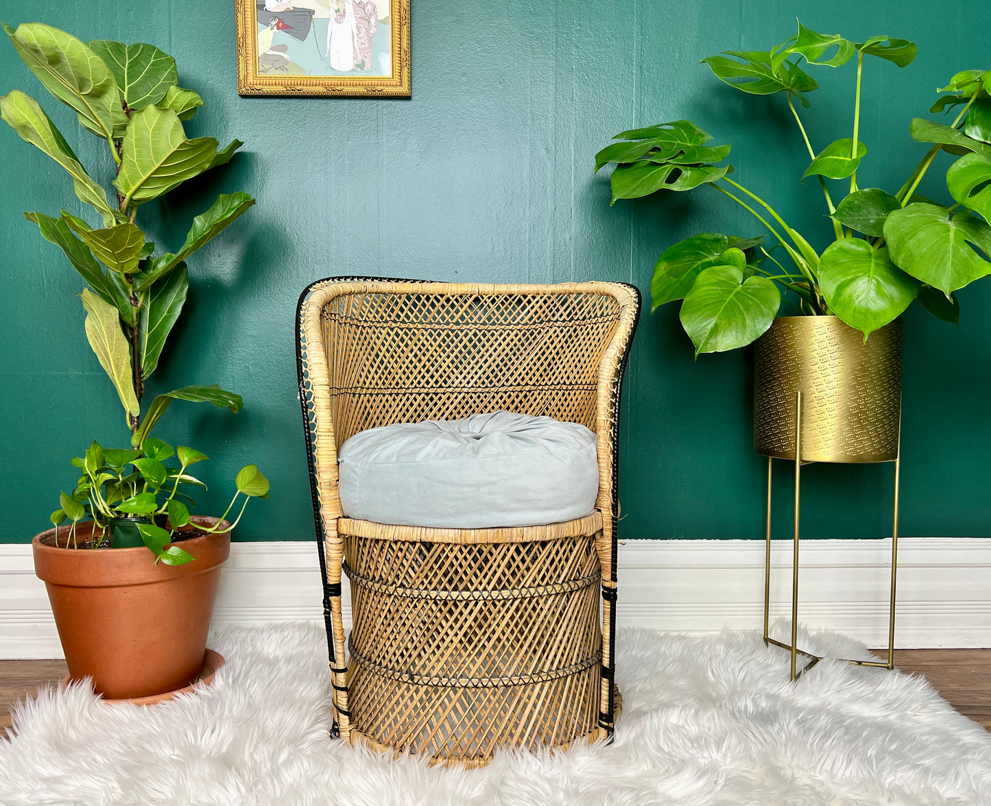 The Little Peacock Chair