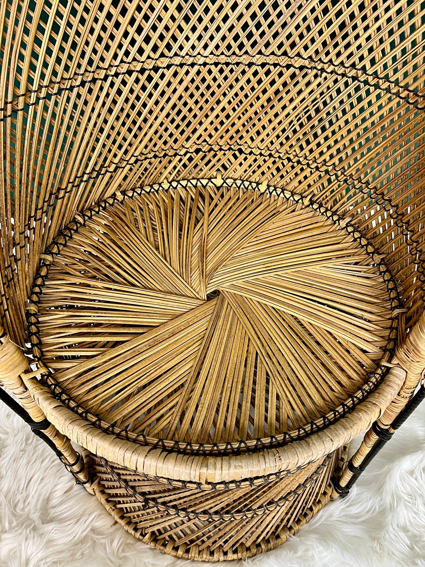 The Little Peacock Chair