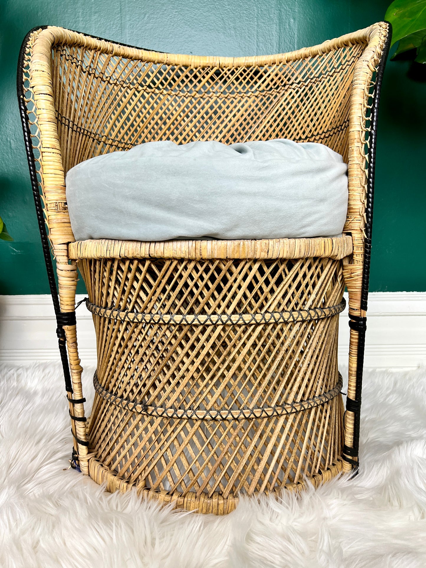 The Little Peacock Chair