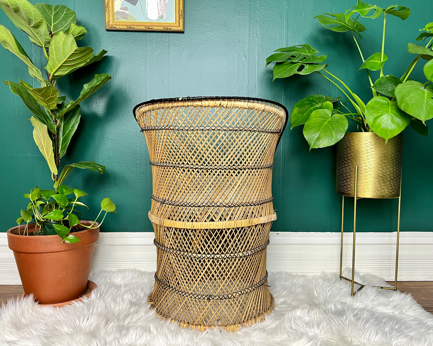 The Little Peacock Chair