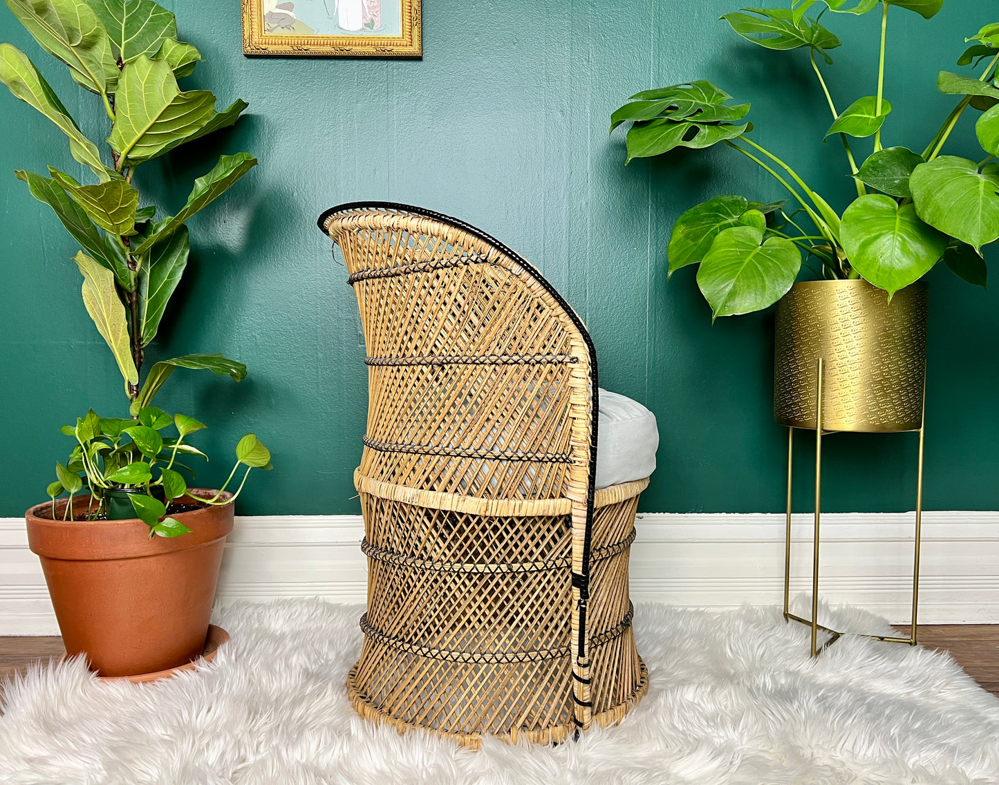 The Little Peacock Chair