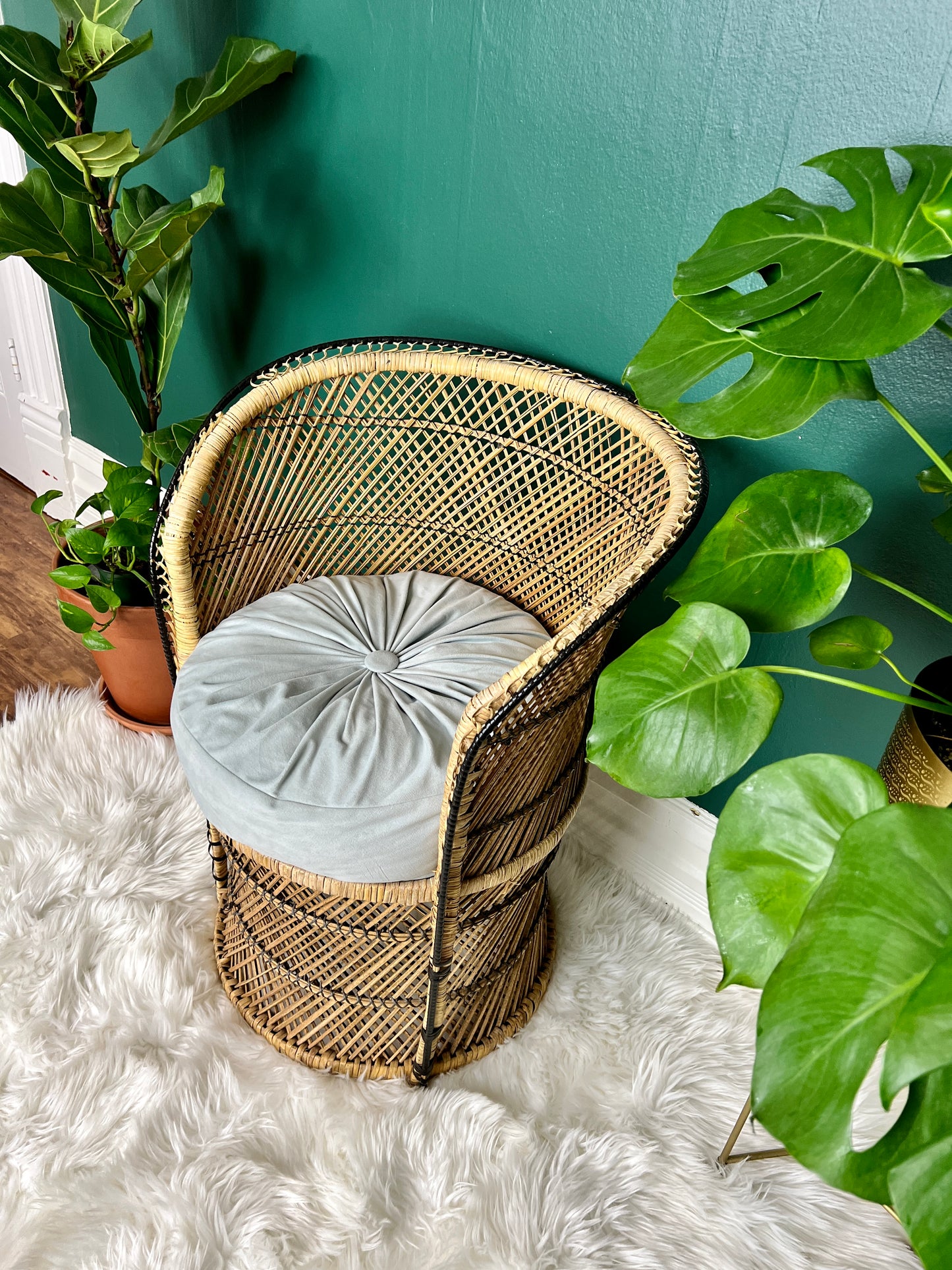 The Little Peacock Chair