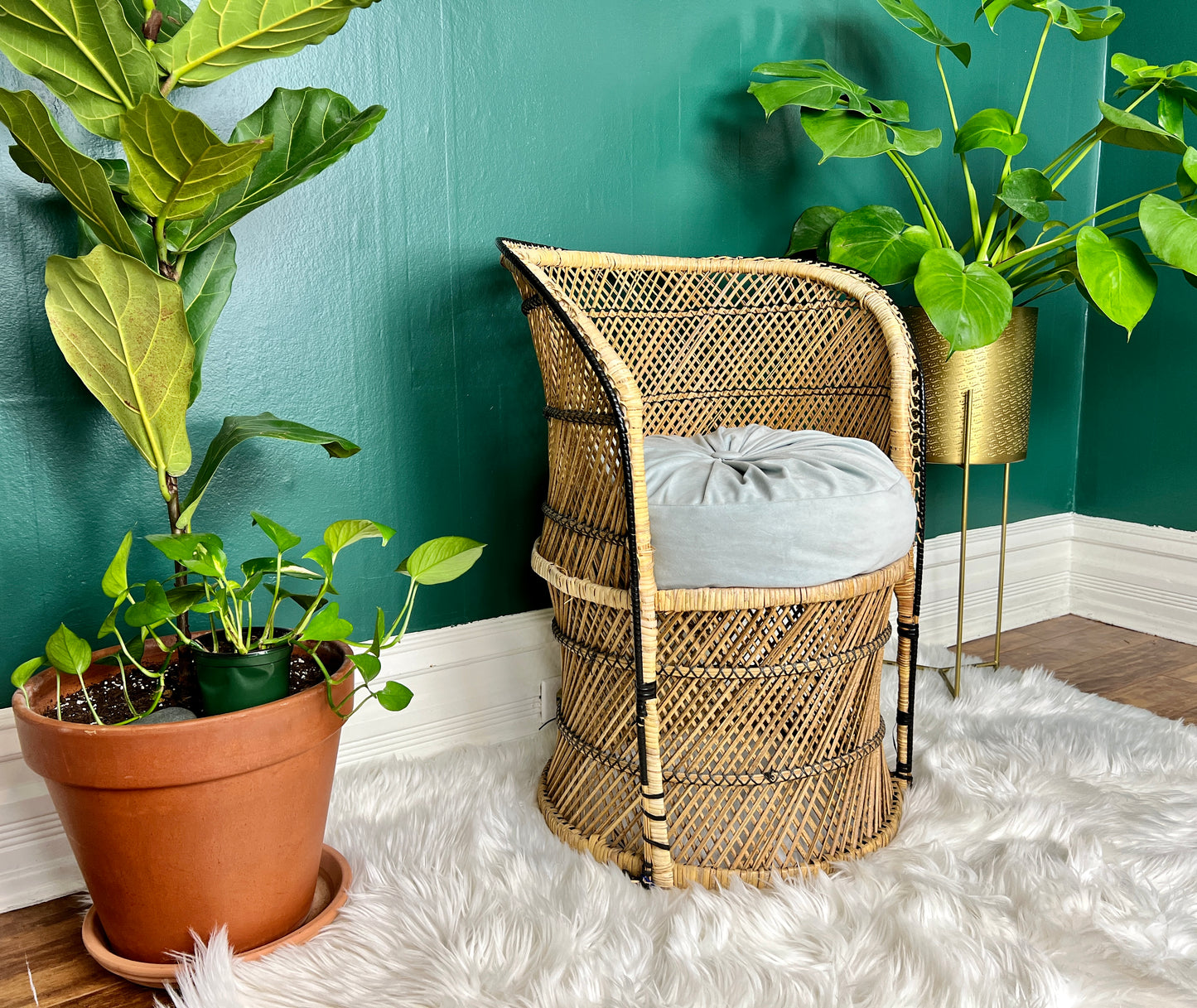 The Little Peacock Chair