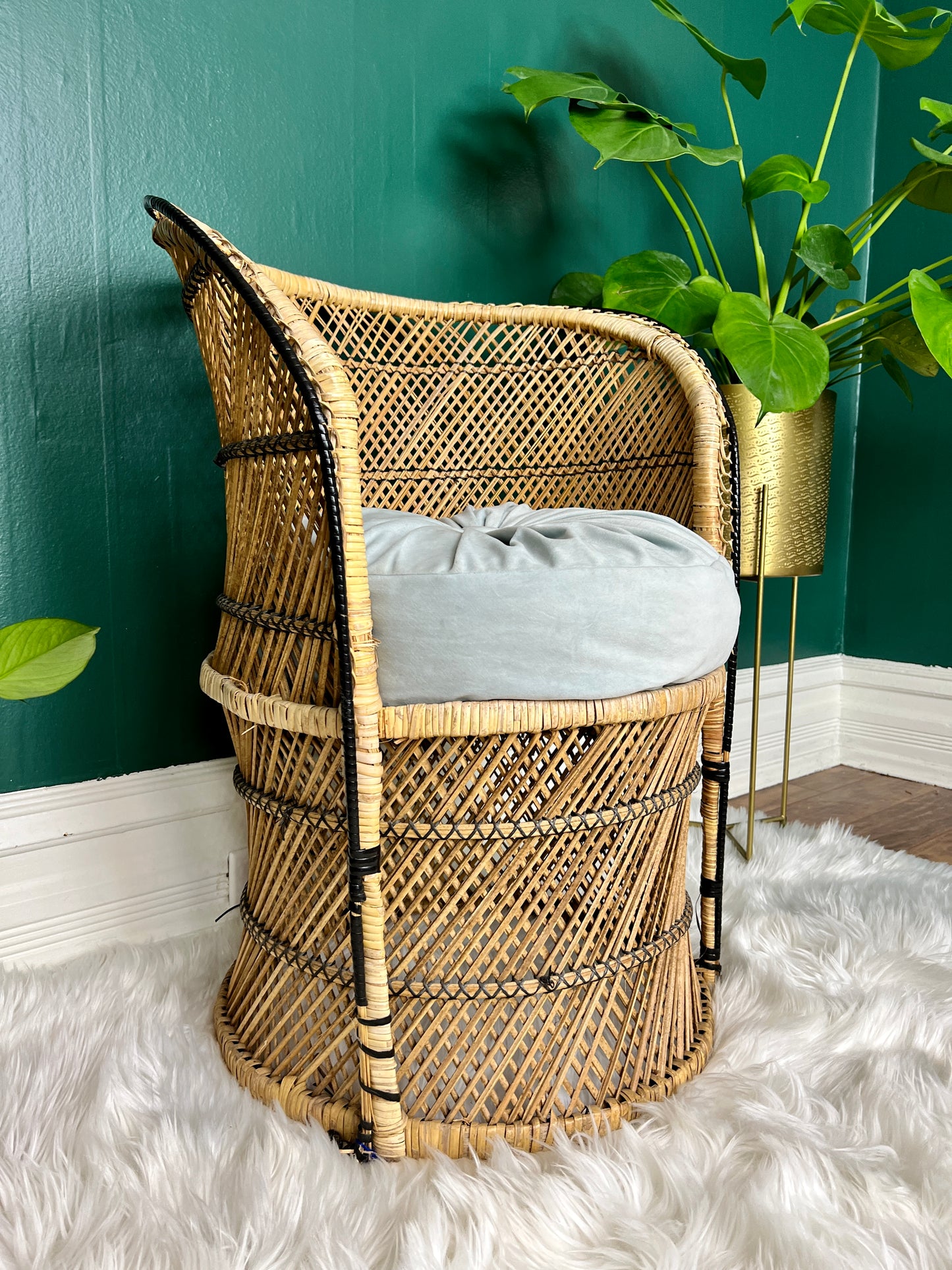 The Little Peacock Chair