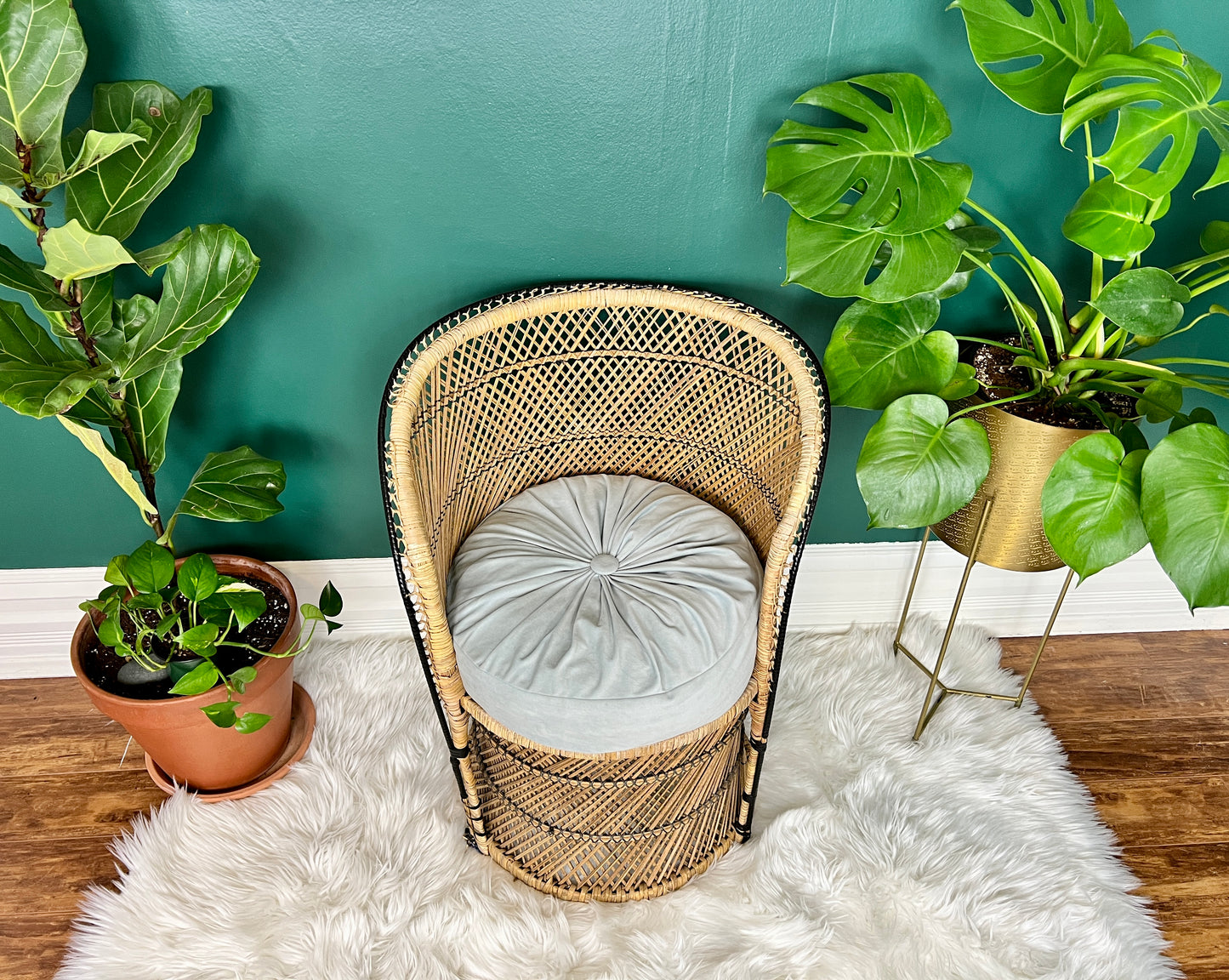 The Little Peacock Chair