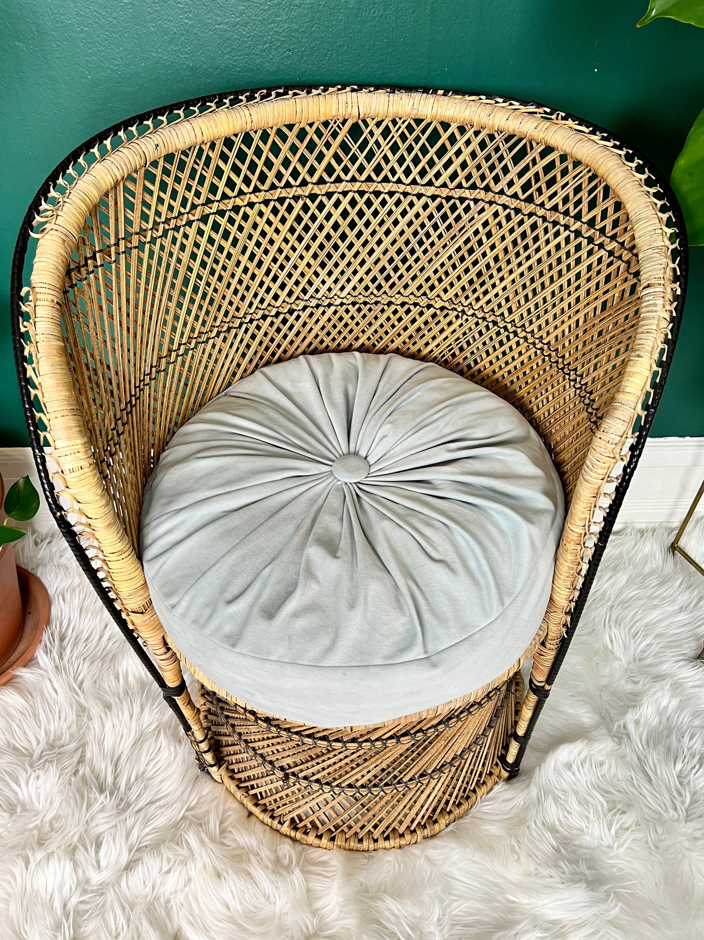 The Little Peacock Chair