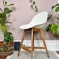 The Fanbyn Kitchen Counter Stools