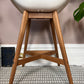 The Fanbyn Kitchen Counter Stools