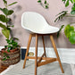 The Fanbyn Kitchen Counter Stools