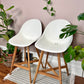 The Fanbyn Kitchen Counter Stools