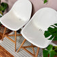 The Fanbyn Kitchen Counter Stools