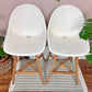 The Fanbyn Kitchen Counter Stools