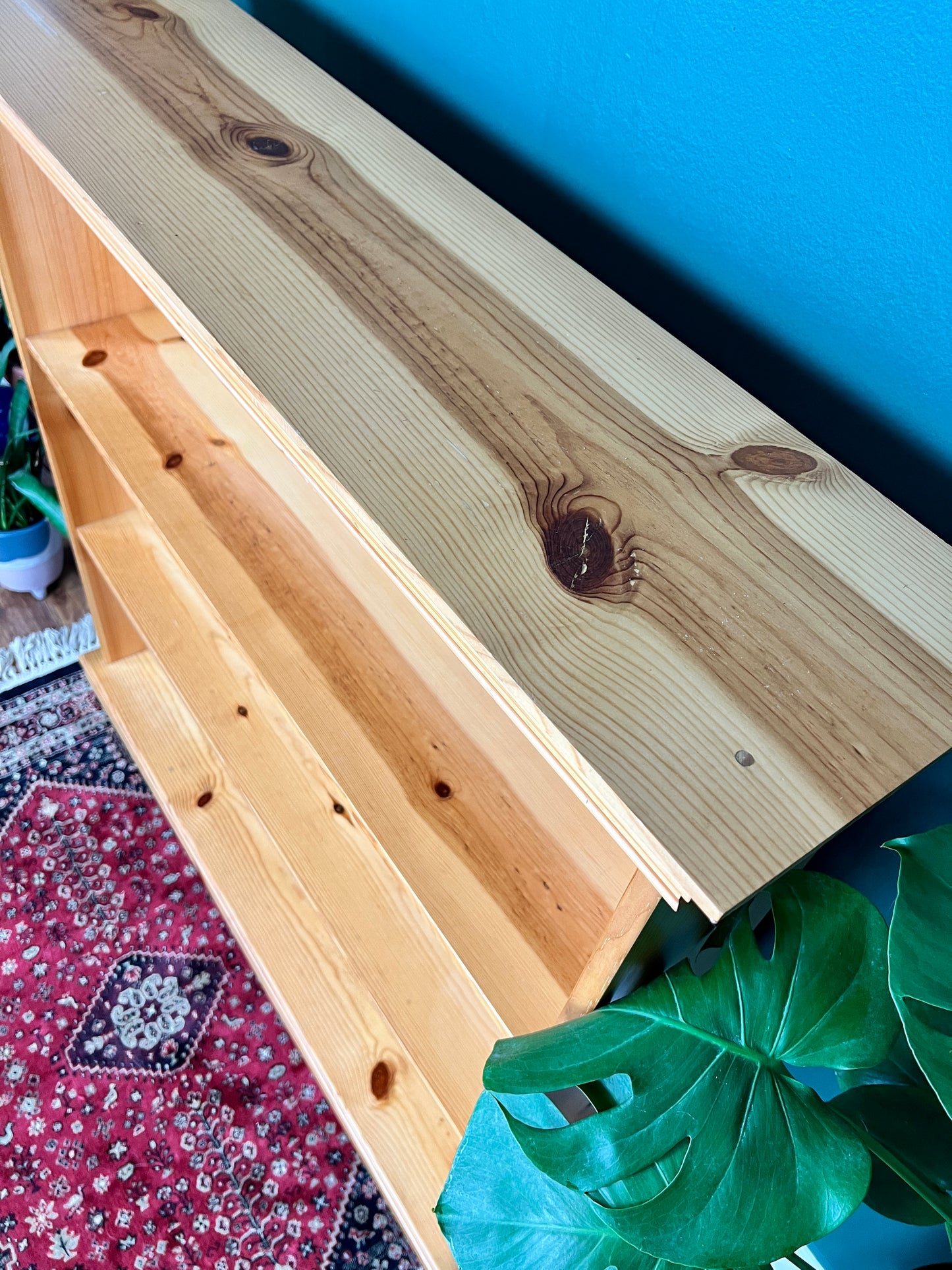 The Lodgepole Pine Shelf