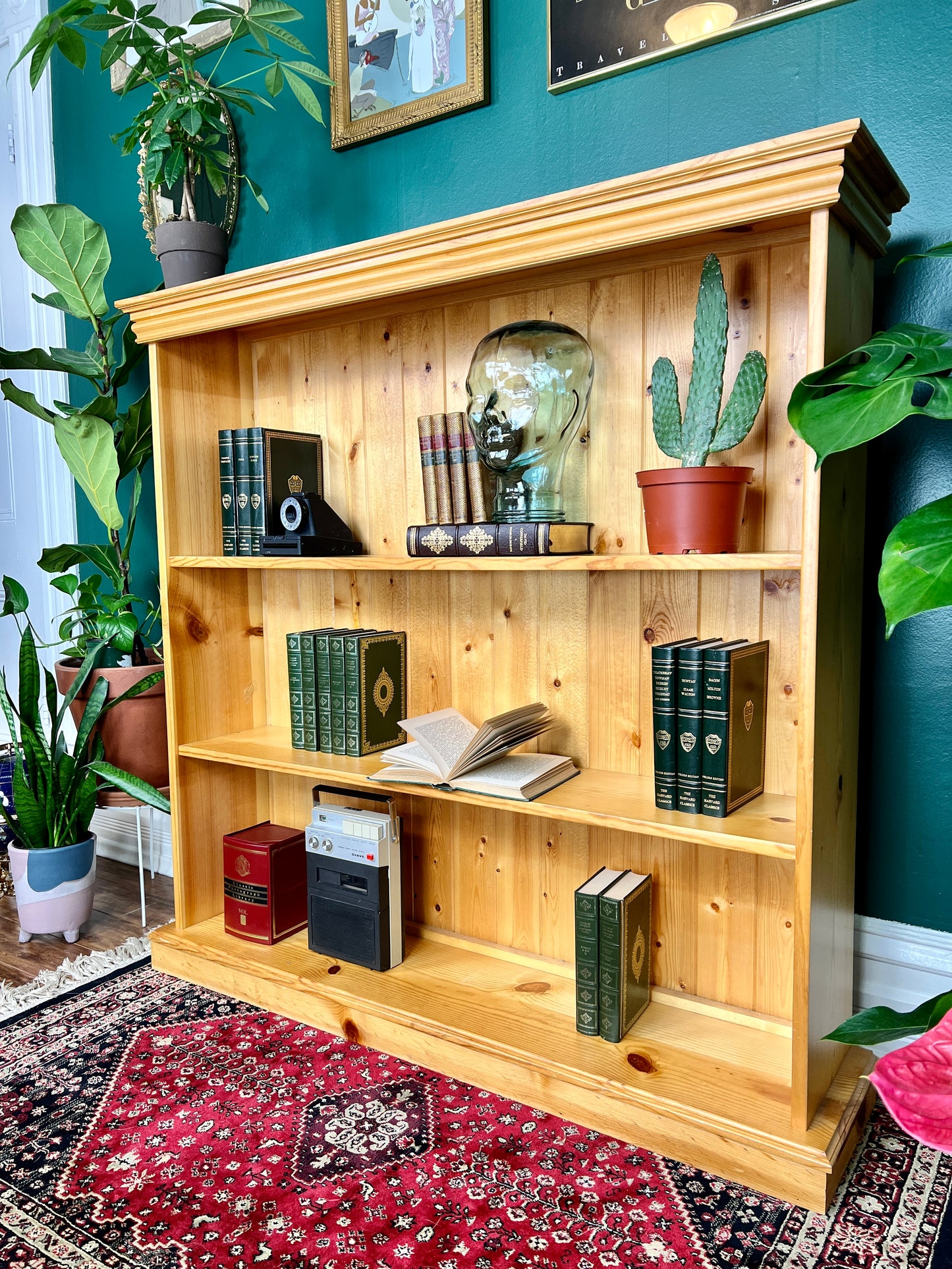 The Lodgepole Pine Shelf