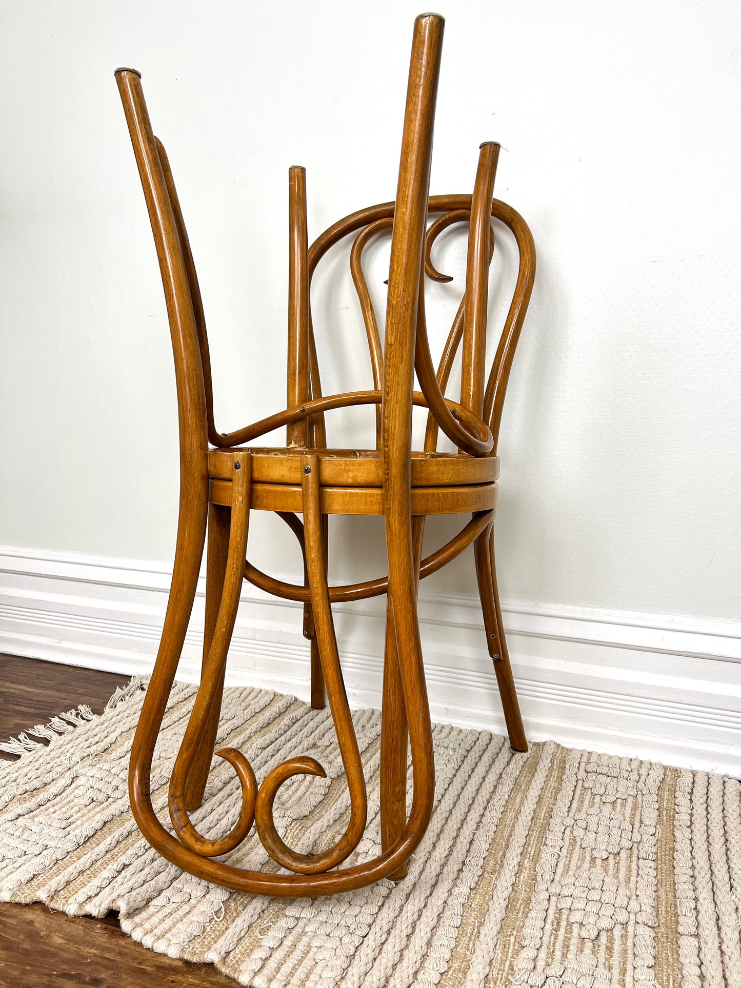 The Constanta Chairs