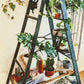 The Forest Green Ladder Shelf