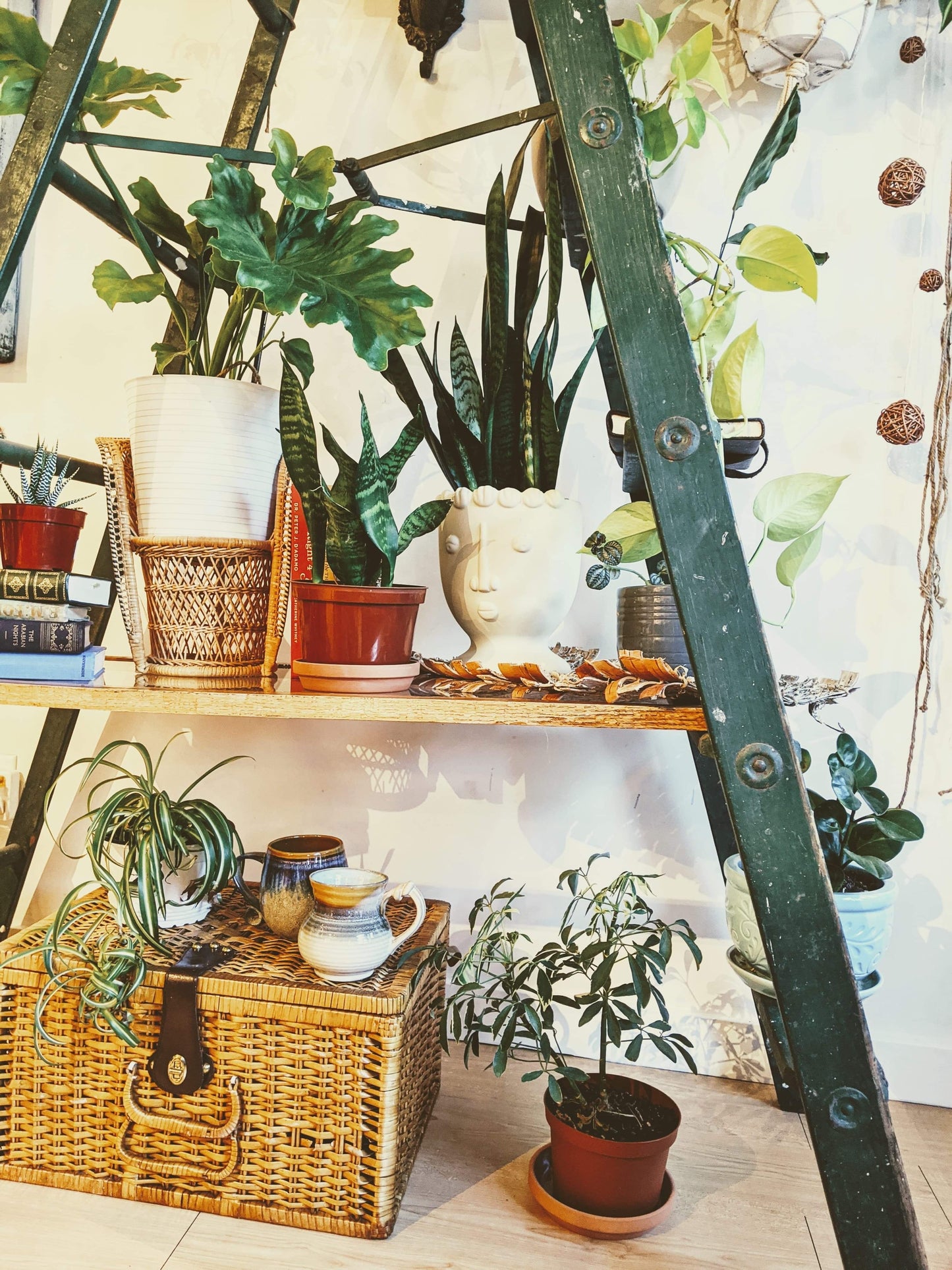 The Forest Green Ladder Shelf
