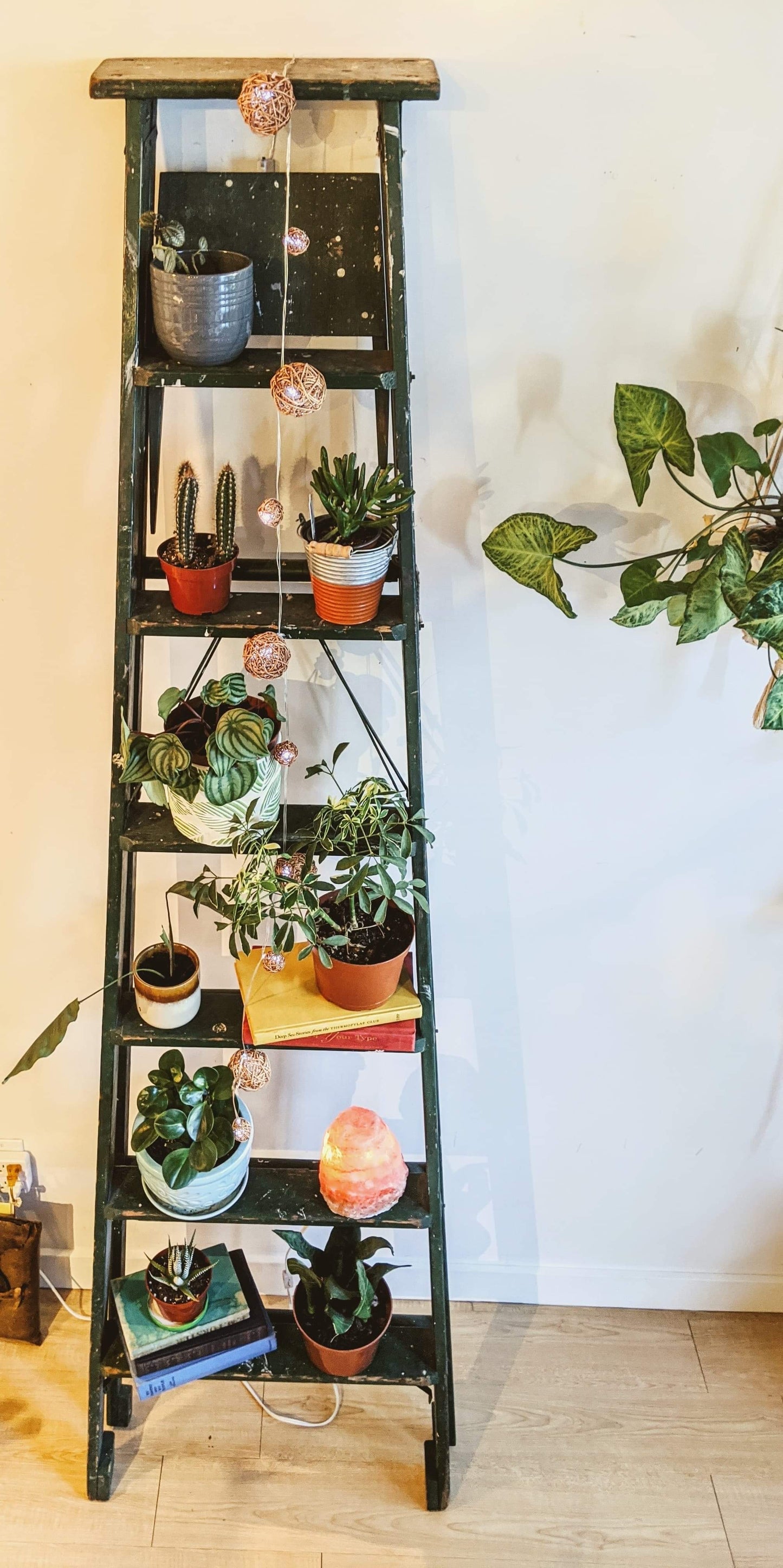 The Forest Green Ladder Shelf