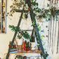 The Forest Green Ladder Shelf