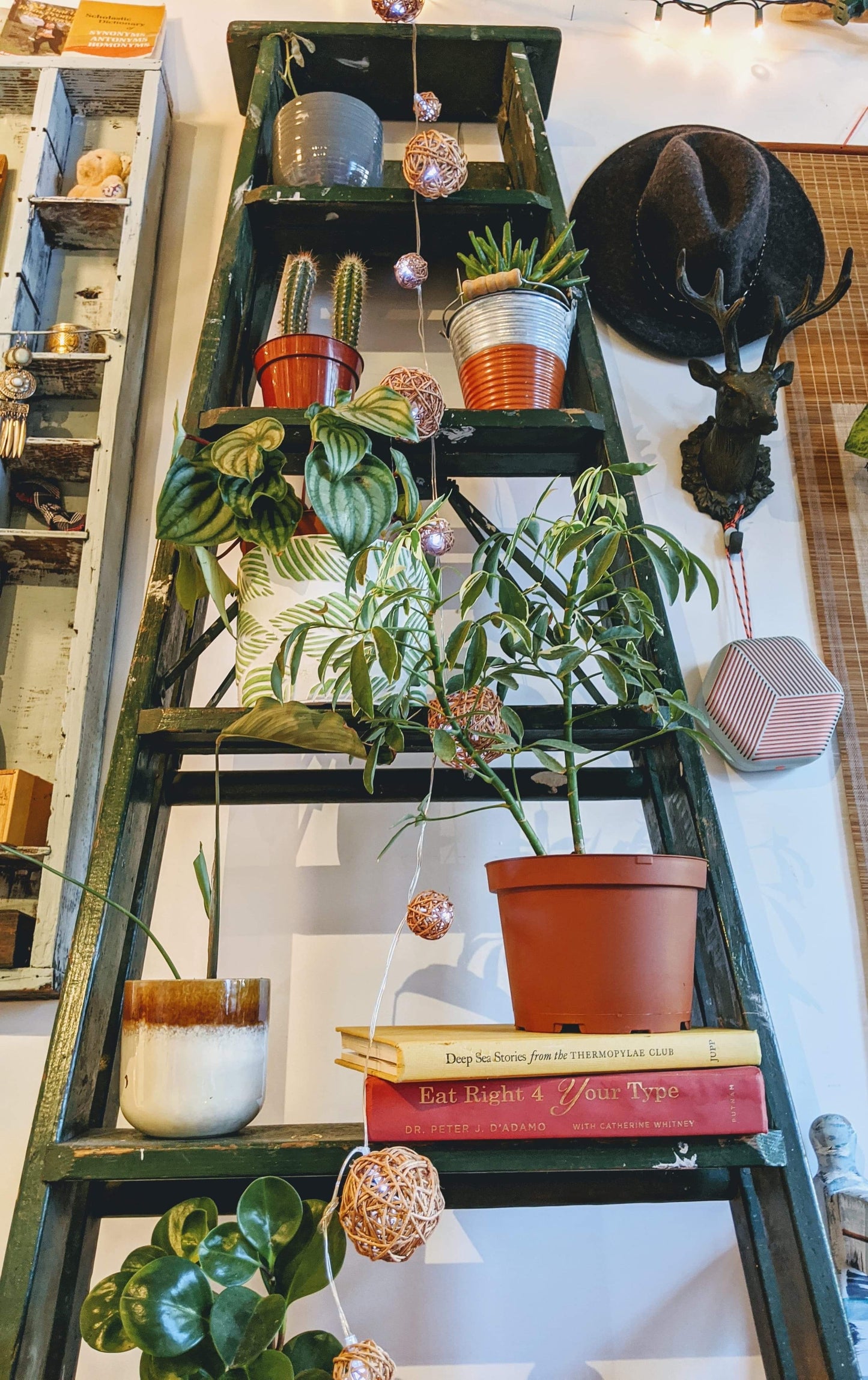 The Forest Green Ladder Shelf