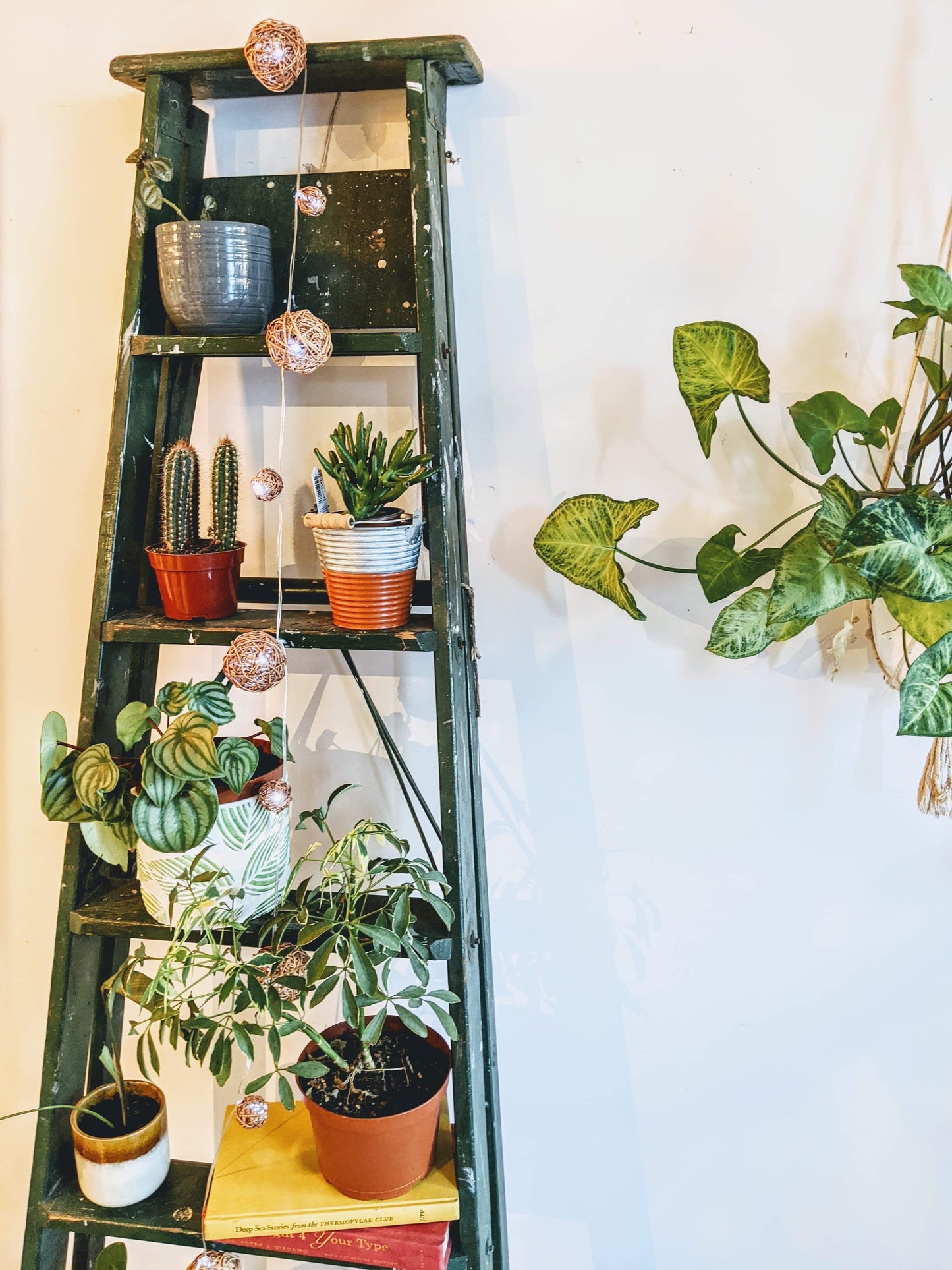 The Forest Green Ladder Shelf